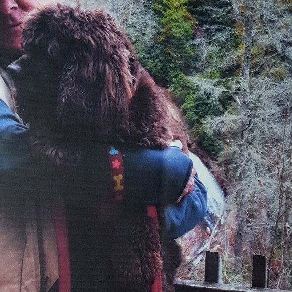 Meet your Posher, Alexandra - Picture 6 of 13